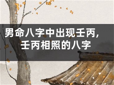 男命八字中出现壬丙,壬丙相照的八字