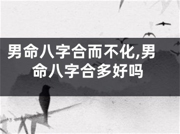 男命八字合而不化,男命八字合多好吗