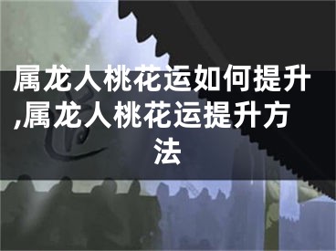 属龙人桃花运如何提升,属龙人桃花运提升方法