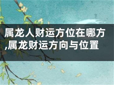属龙人财运方位在哪方,属龙财运方向与位置