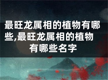 最旺龙属相的植物有哪些,最旺龙属相的植物有哪些名字