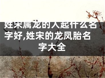 姓宋属龙的人起什么名字好,姓宋的龙凤胎名字大全