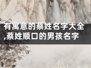 有寓意的蔡姓名字大全,蔡姓顺口的男孩名字