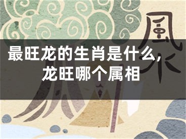 最旺龙的生肖是什么,龙旺哪个属相