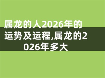属龙的人2026年的运势及运程,属龙的2026年多大