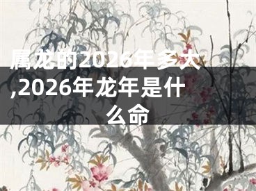 属龙的2026年多大,2026年龙年是什么命