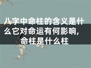 八字中命柱的含义是什么它对命运有何影响,命柱是什么柱
