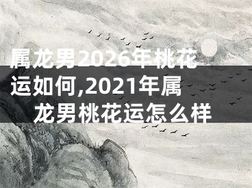 属龙男2026年桃花运如何,2021年属龙男桃花运怎么样