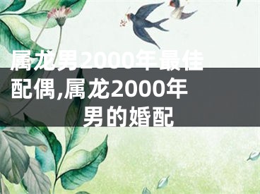属龙男2000年最佳配偶,属龙2000年男的婚配