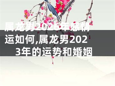 属龙男2026年感情运如何,属龙男2023年的运势和婚姻