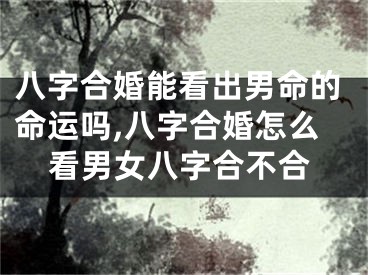 八字合婚能看出男命的命运吗,八字合婚怎么看男女八字合不合
