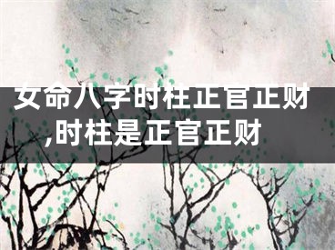 女命八字时柱正官正财,时柱是正官正财