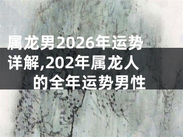 属龙男2026年运势详解,202年属龙人的全年运势男性