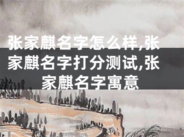 张家麒名字怎么样,张家麒名字打分测试,张家麒名字寓意