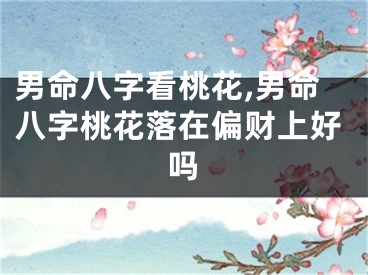 男命八字看桃花,男命八字桃花落在偏财上好吗