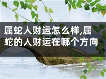 属蛇人财运怎么样,属蛇的人财运在哪个方向