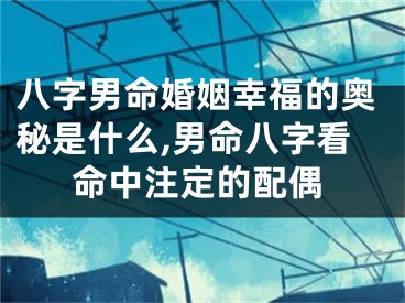 八字男命婚姻幸福的奥秘是什么,男命八字看命中注定的配偶