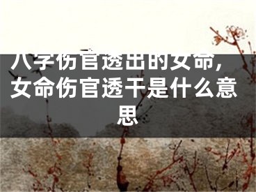 八字伤官透出的女命,女命伤官透干是什么意思