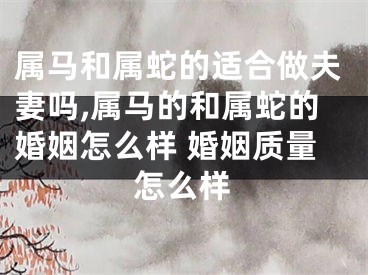 属马和属蛇的适合做夫妻吗,属马的和属蛇的婚姻怎么样 婚姻质量怎么样