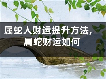 属蛇人财运提升方法,属蛇财运如何