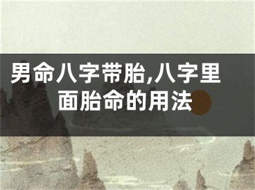 男命八字带胎,八字里面胎命的用法