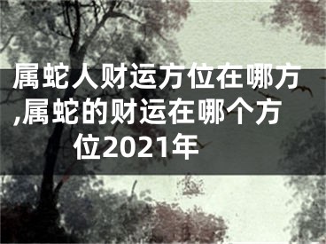 属蛇人财运方位在哪方,属蛇的财运在哪个方位2021年