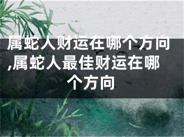 属蛇人财运在哪个方向,属蛇人最佳财运在哪个方向