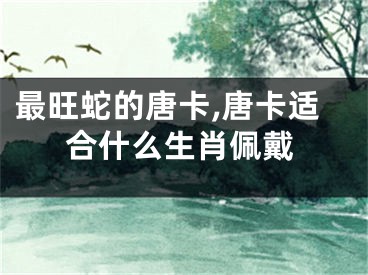 最旺蛇的唐卡,唐卡适合什么生肖佩戴