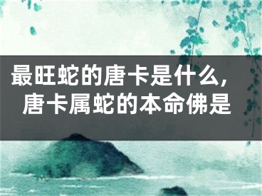 最旺蛇的唐卡是什么,唐卡属蛇的本命佛是