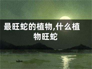 最旺蛇的植物,什么植物旺蛇