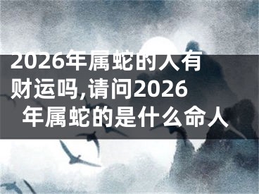 2026年属蛇的人有财运吗,请问2026年属蛇的是什么命人