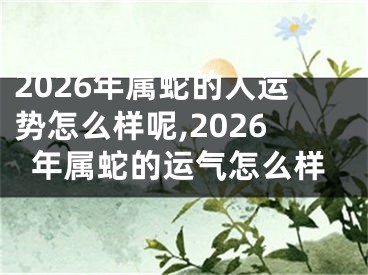 2026年属蛇的人运势怎么样呢,2026年属蛇的运气怎么样