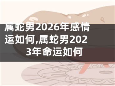 属蛇男2026年感情运如何,属蛇男2023年命运如何