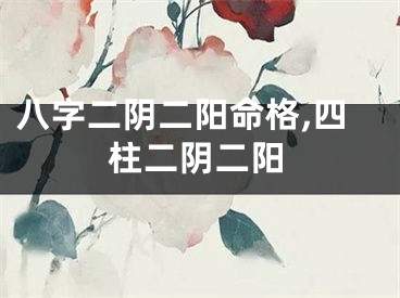 八字二阴二阳命格,四柱二阴二阳