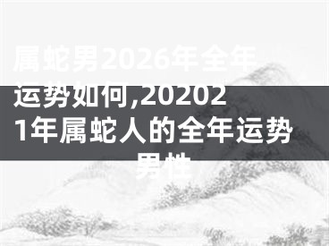 属蛇男2026年全年运势如何,202021年属蛇人的全年运势男性
