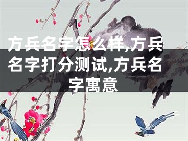方兵名字怎么样,方兵名字打分测试,方兵名字寓意