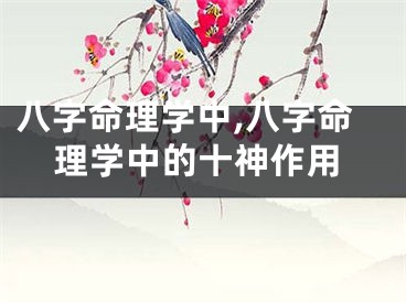 八字命理学中,八字命理学中的十神作用