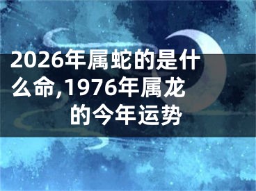 2026年属蛇的是什么命,1976年属龙的今年运势