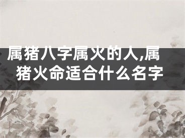 属猪八字属火的人,属猪火命适合什么名字