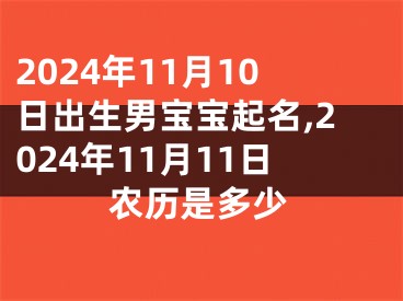 2024年11月10日出生男宝宝起名,2024年11月11日农历是多少