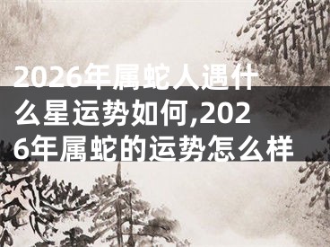 2026年属蛇人遇什么星运势如何,2026年属蛇的运势怎么样