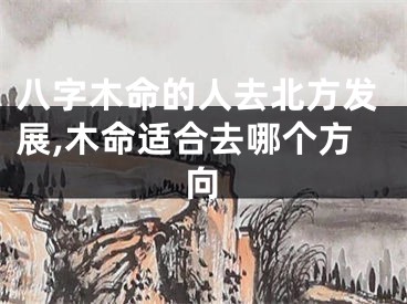 八字木命的人去北方发展,木命适合去哪个方向