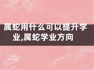 属蛇用什么可以提升学业,属蛇学业方向