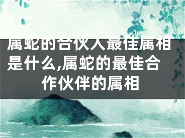 属蛇的合伙人最佳属相是什么,属蛇的最佳合作伙伴的属相