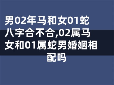 男02年马和女01蛇八字合不合,02属马女和01属蛇男婚姻相配吗