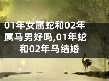 01年女属蛇和02年属马男好吗,01年蛇和02年马结婚