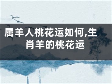 属羊人桃花运如何,生肖羊的桃花运
