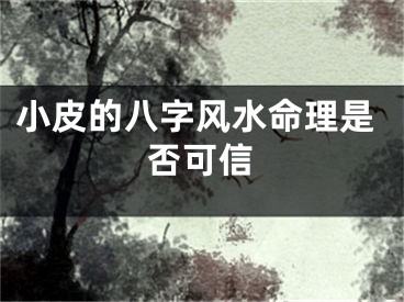 小皮的八字风水命理是否可信