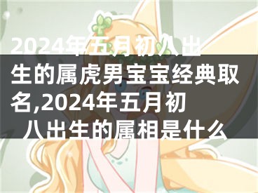 2024年五月初八出生的属虎男宝宝经典取名,2024年五月初八出生的属相是什么