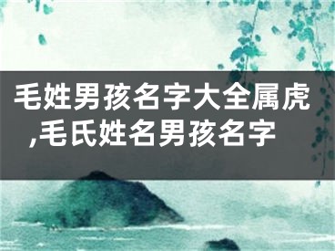 毛姓男孩名字大全属虎,毛氏姓名男孩名字